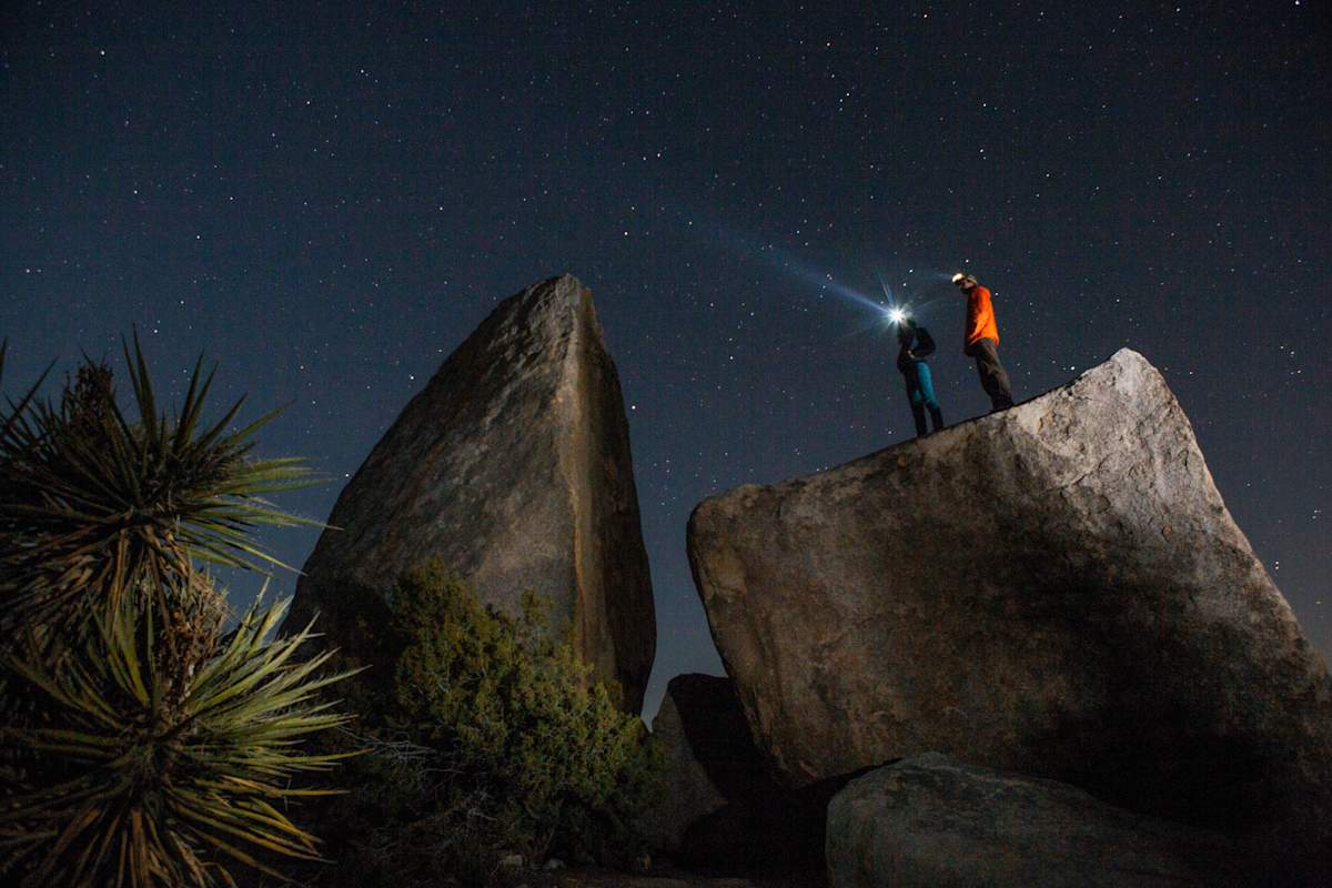 Der Sternenhimmel über der Wüste im Joshua Tree Nationalpark