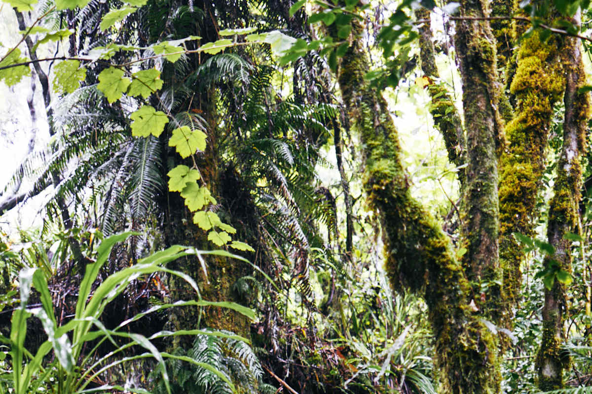 La Réunion