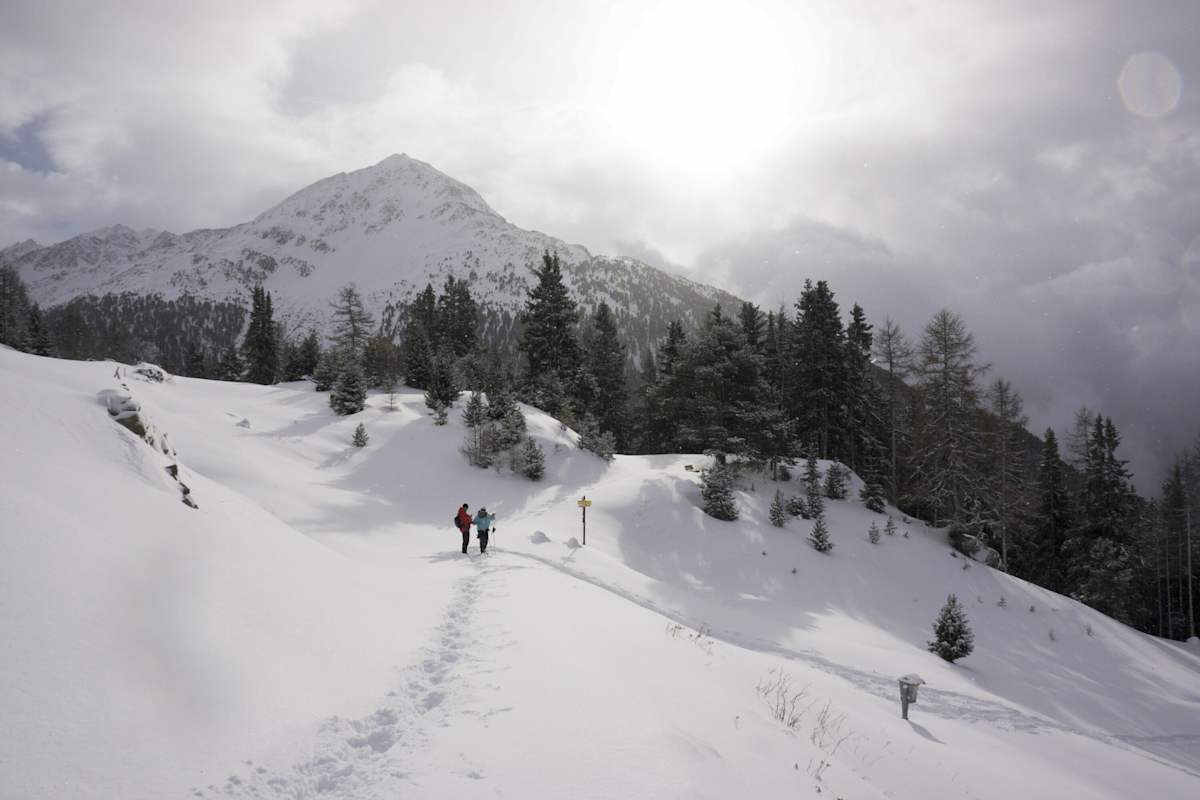 Stallwies Alm