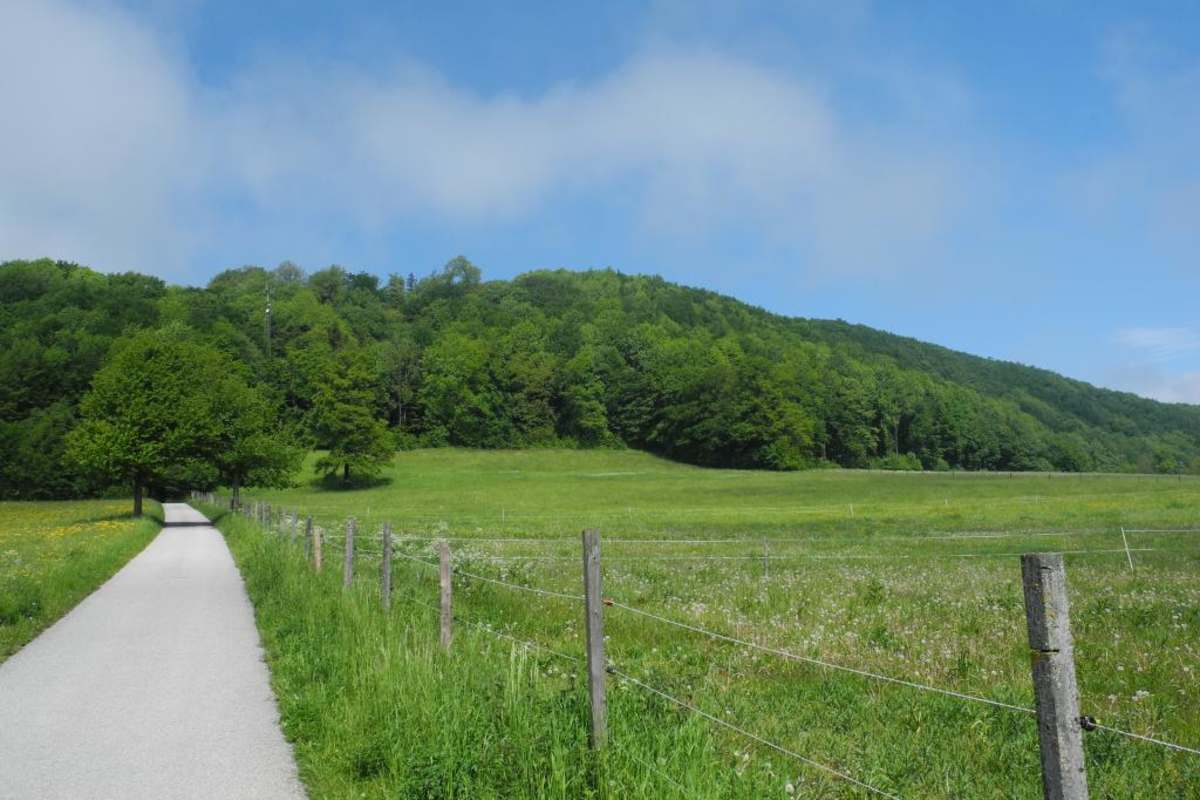 Aussicht vom Peilstein