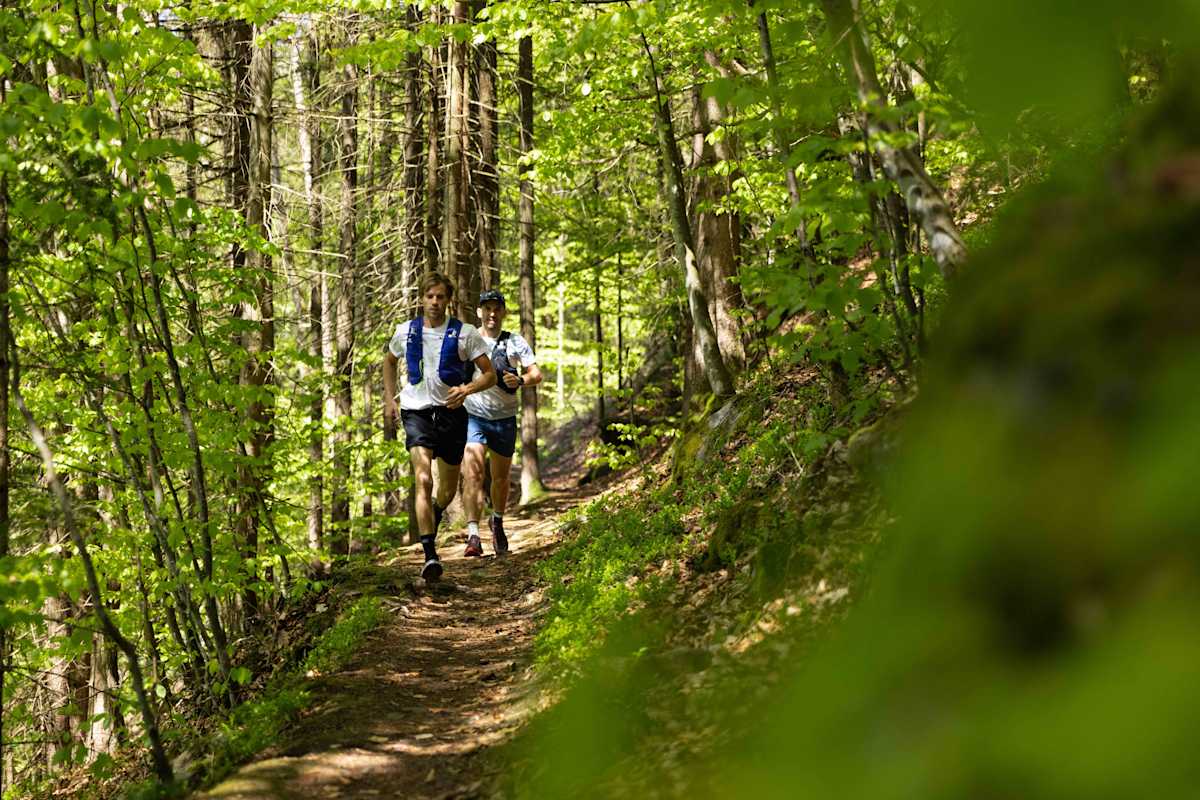 Über schmale Trails geht es durch den Wald der Burg Marsbach