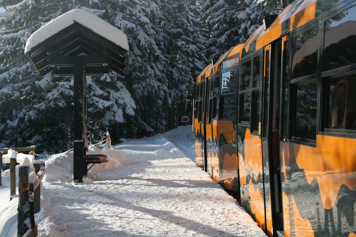 Die Schneebergbahn