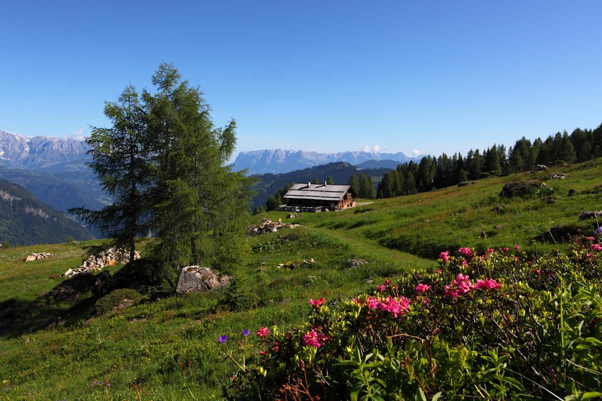 Die Saukaralm im Großarltal