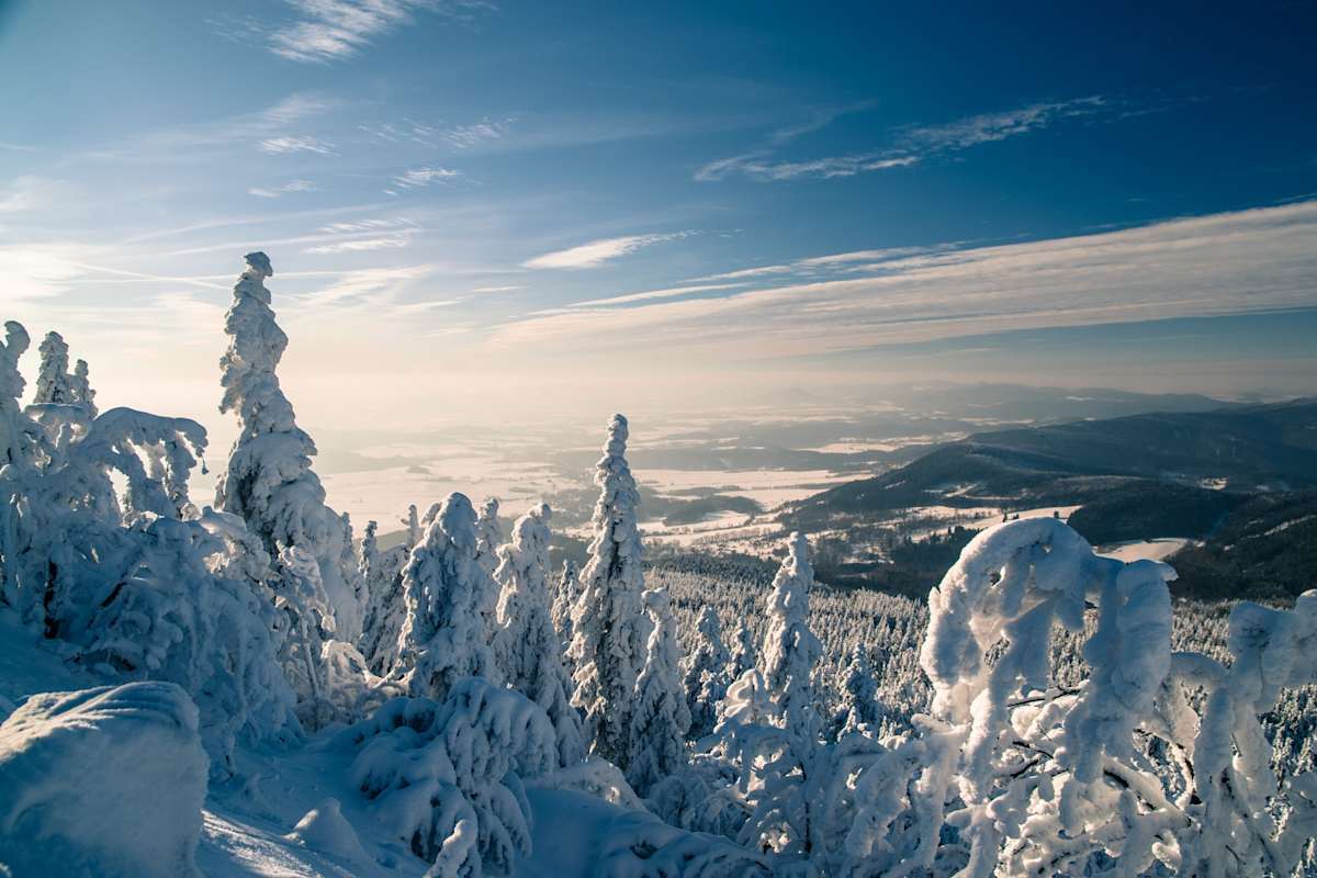 Schneelandschaft