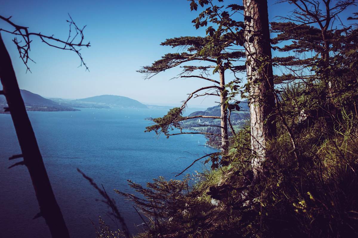 Nach dem ersten Anstieg auf den Schoberstein, der erste schöne Ausblick auf den Attersee