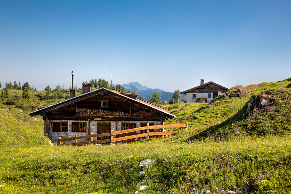 Sommer-Landschaft