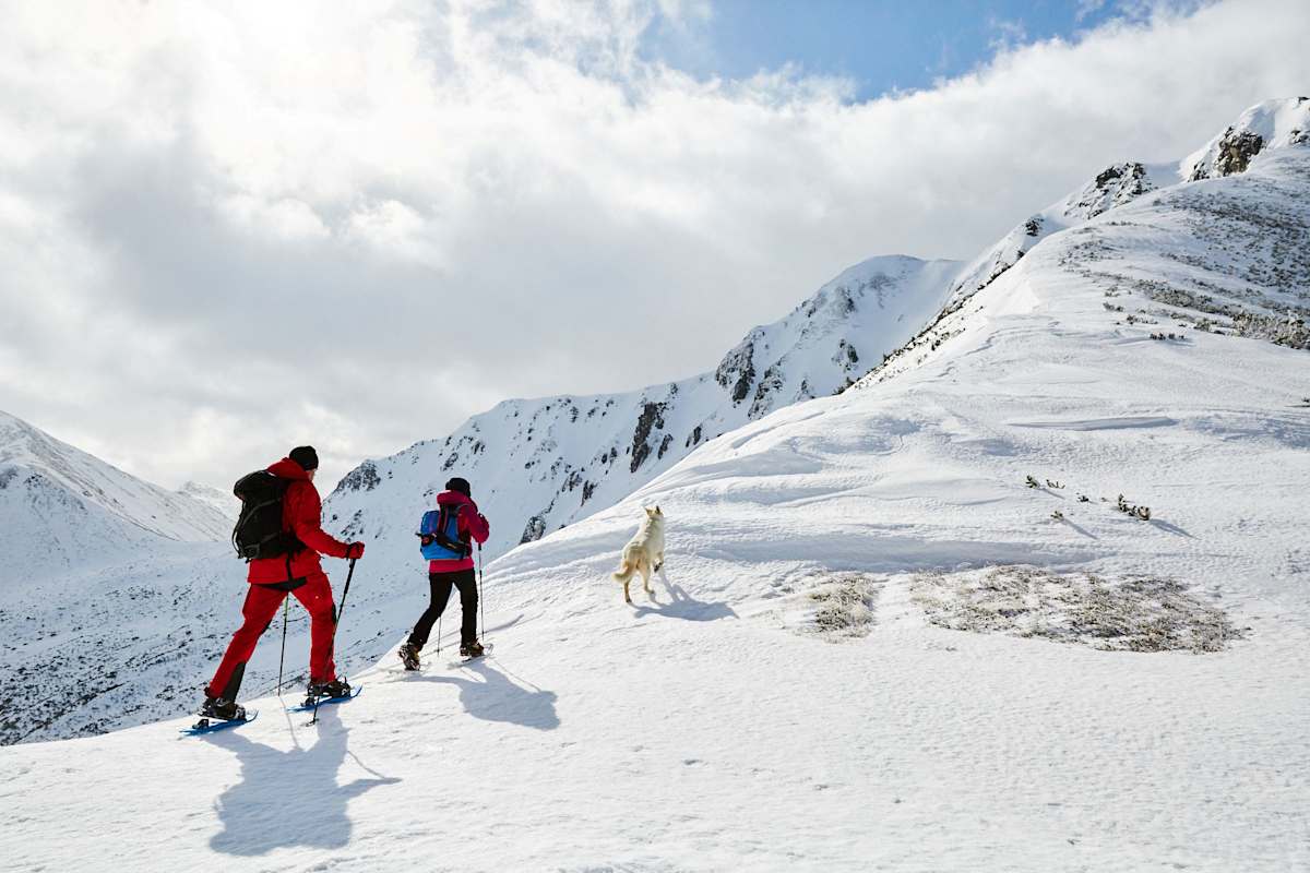 Wölzer Tauern