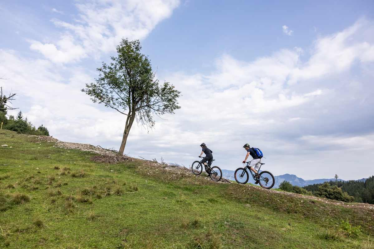 Zwei Mountainbiker fahren auf einem Trail, der über eine Wiese verläuft, bergauf
