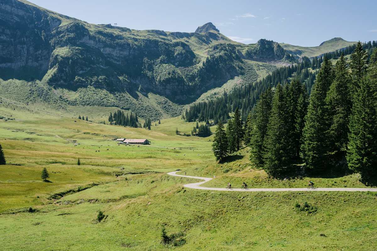 Bikepacking Anfänger Guide Beginner Guide