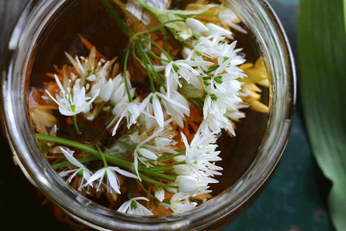 Bärlauchblüten-Essig