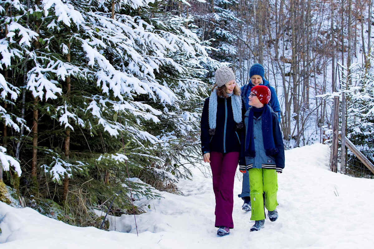 Die Familie wandert durch den Wald zurück zum Ausgangspunkt