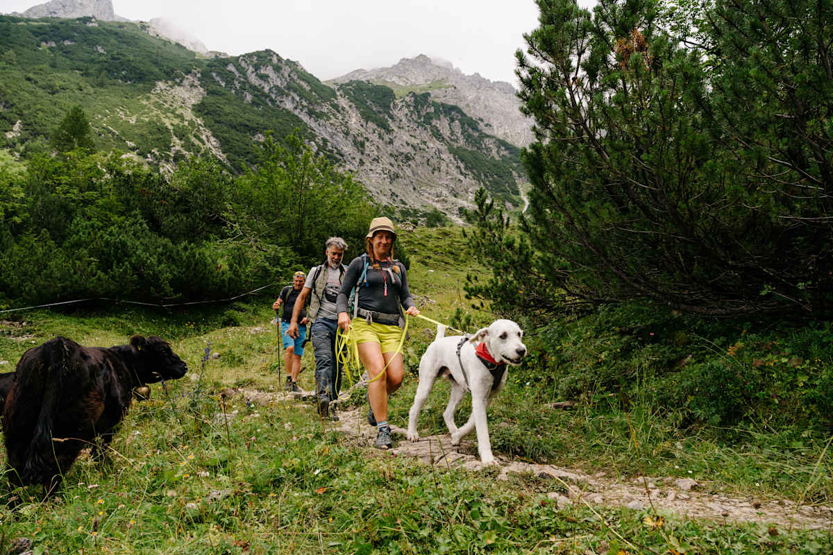 Drei Personen und ein Hund wandern zur Sarotlahütte Brandnertal.
