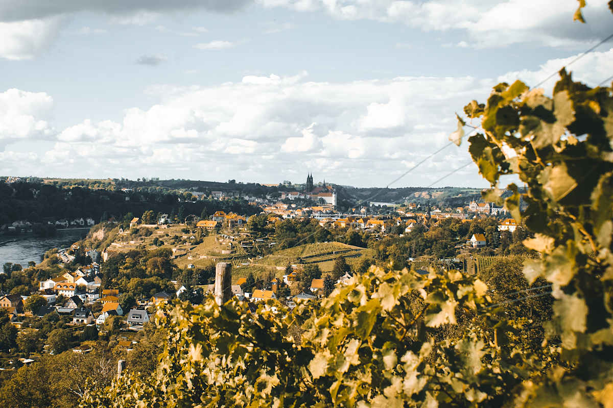 Blick nach Meißen