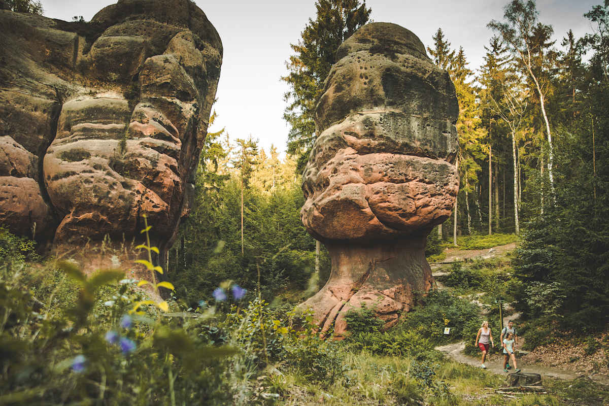 Bei Jonsdorf, Oybin und Lückendorf formen uralte Sandsteinfelsen bizarre Figuren, die an Tiere erinnern.