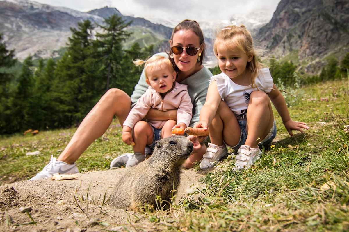 Eine Frau und zwei kleine Mädchen füttern das Murmeltier im Saastal.