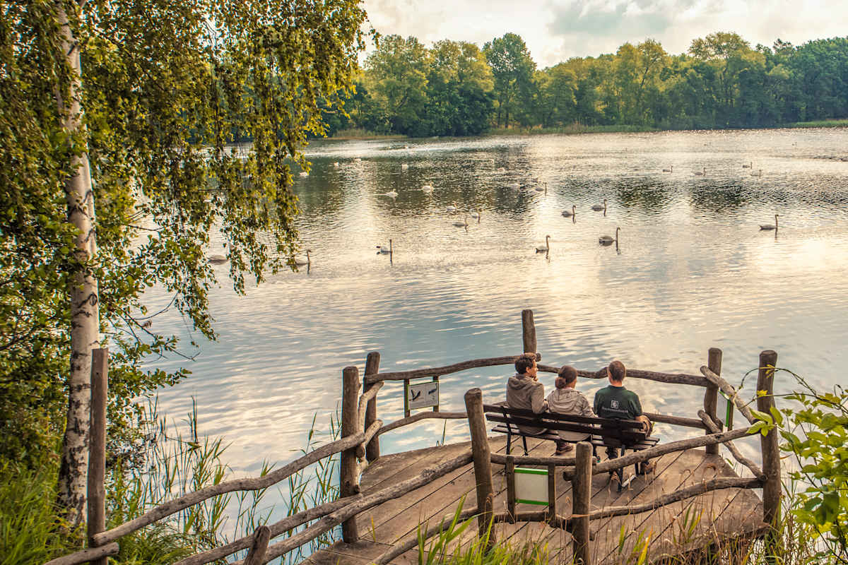 Die Oberlausitzer Heide- und Teichlandschaft bietet Lebensraum für rund 150 Brutvogelarten.