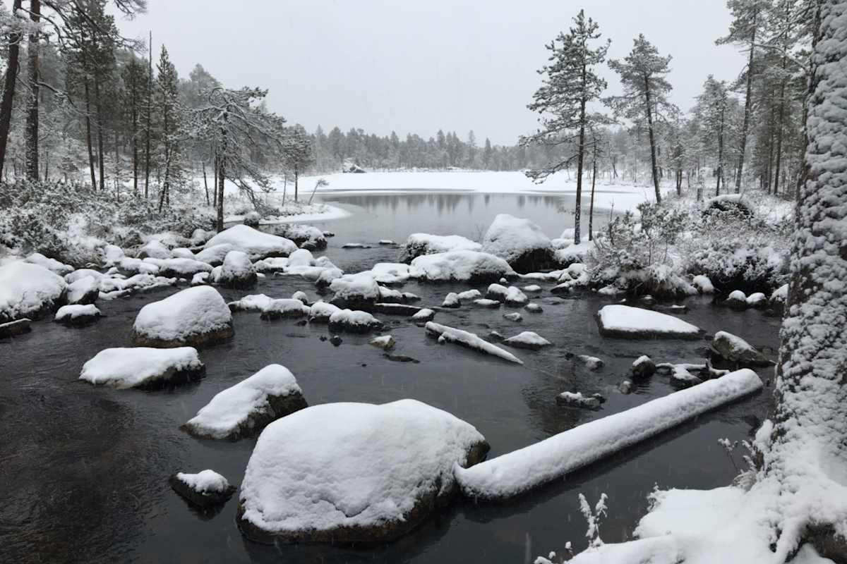 Wandern in Lappland