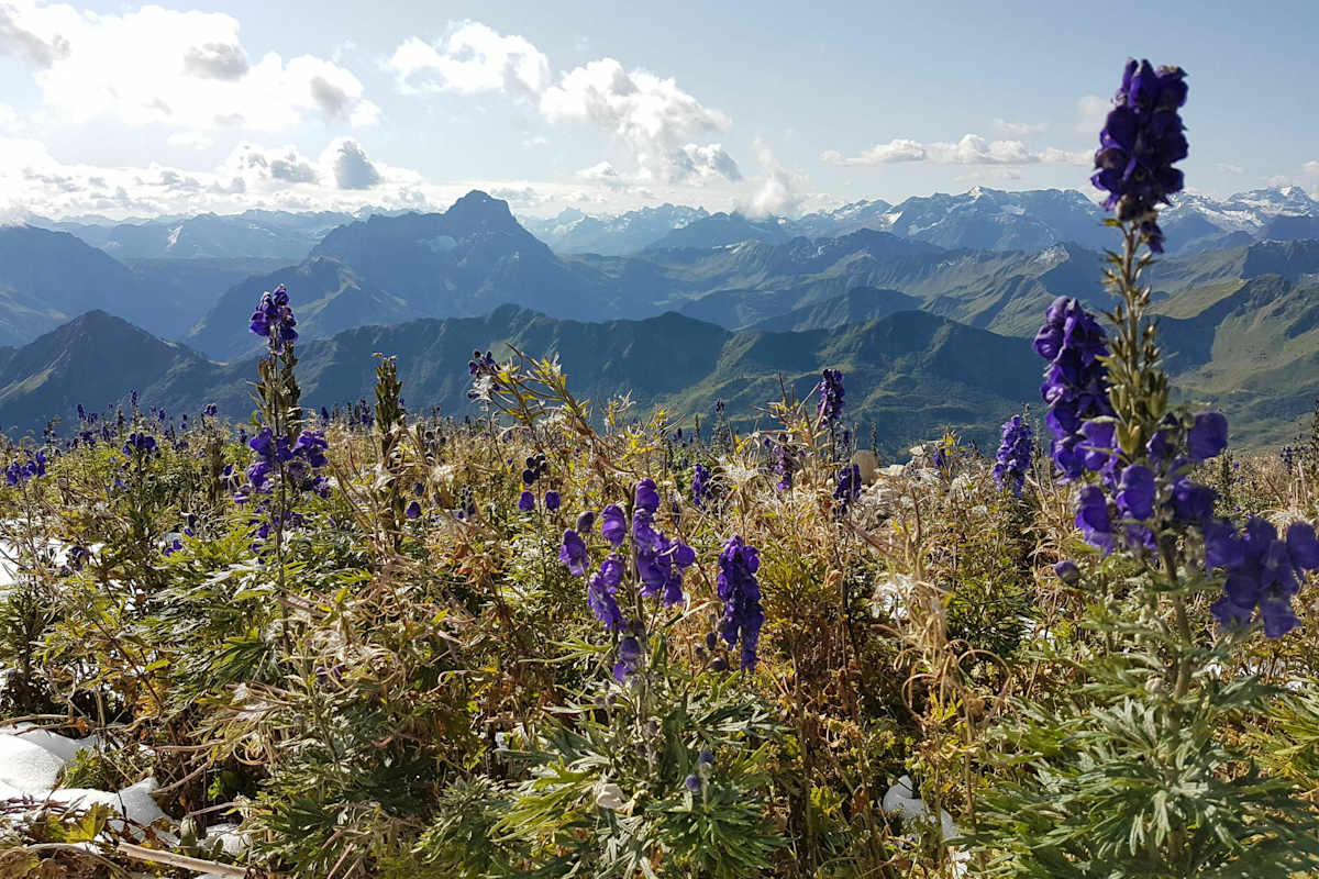 blick_aufs_kleinwalsertal_daria_neujpg