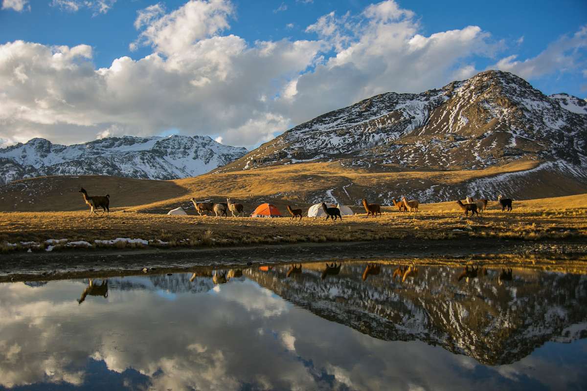 bolivien-adobestock_alberto-gonzalez-305922321