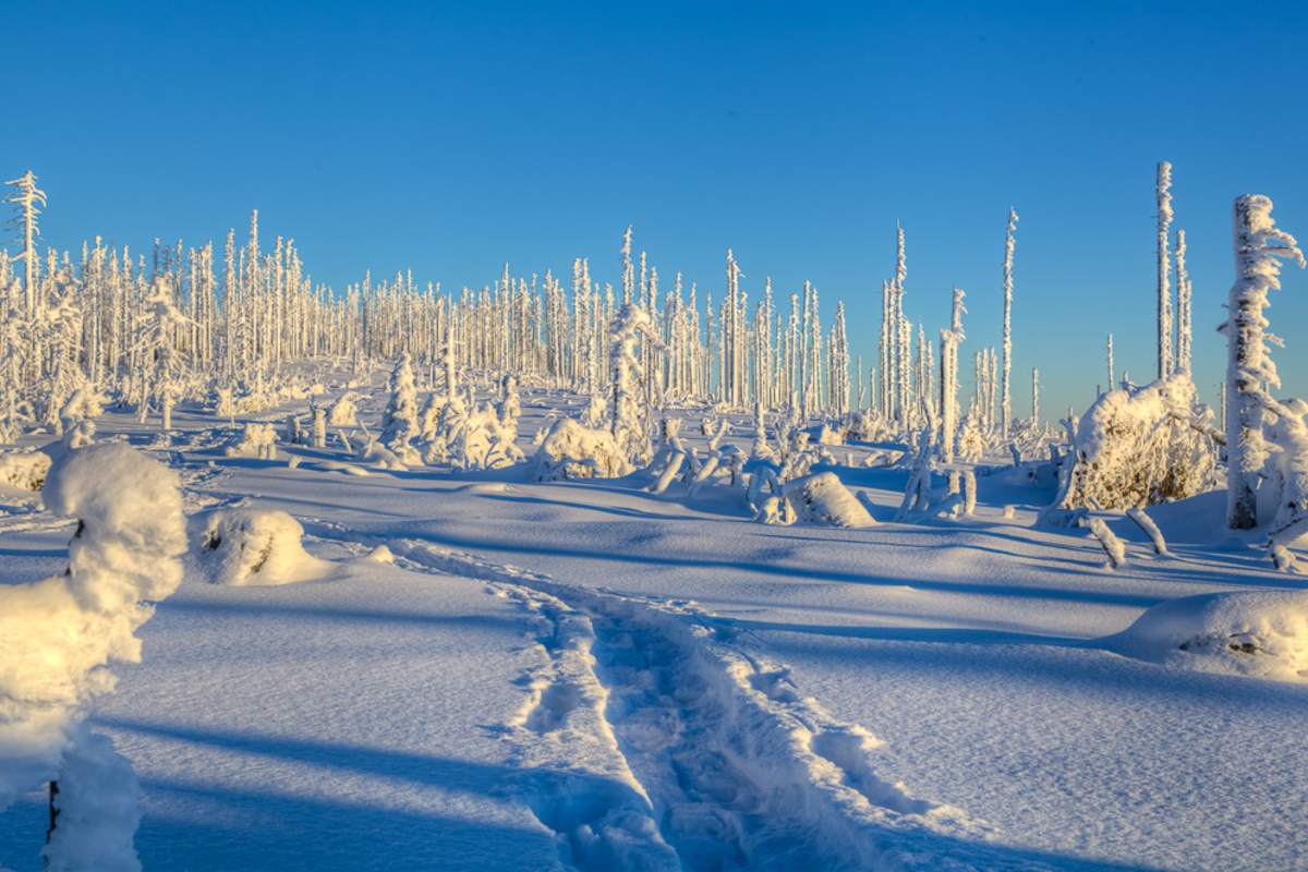 Winterwanderung Dreisessel - Hochkamm, Bayerischer Wald