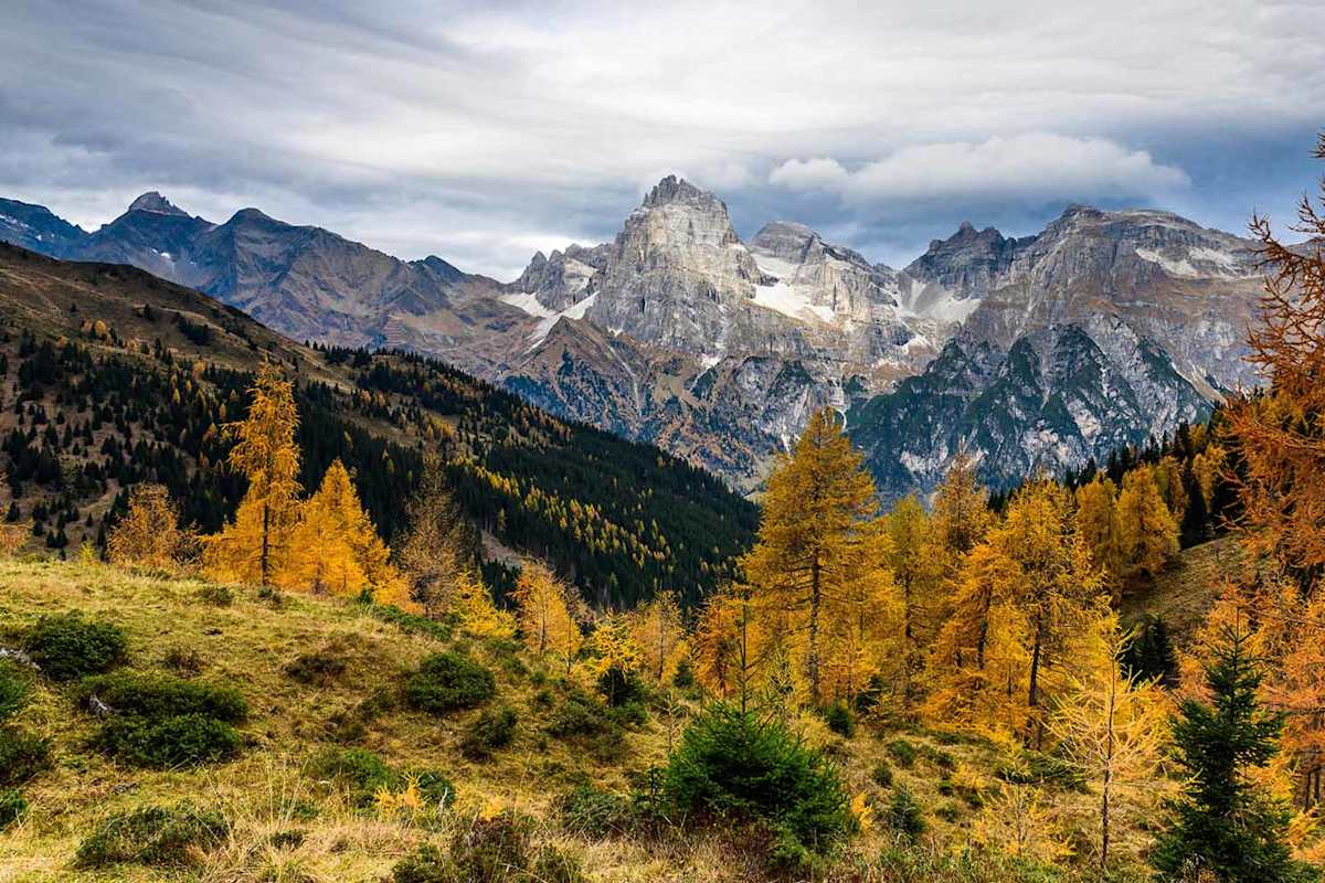 IDM_STERZING_2