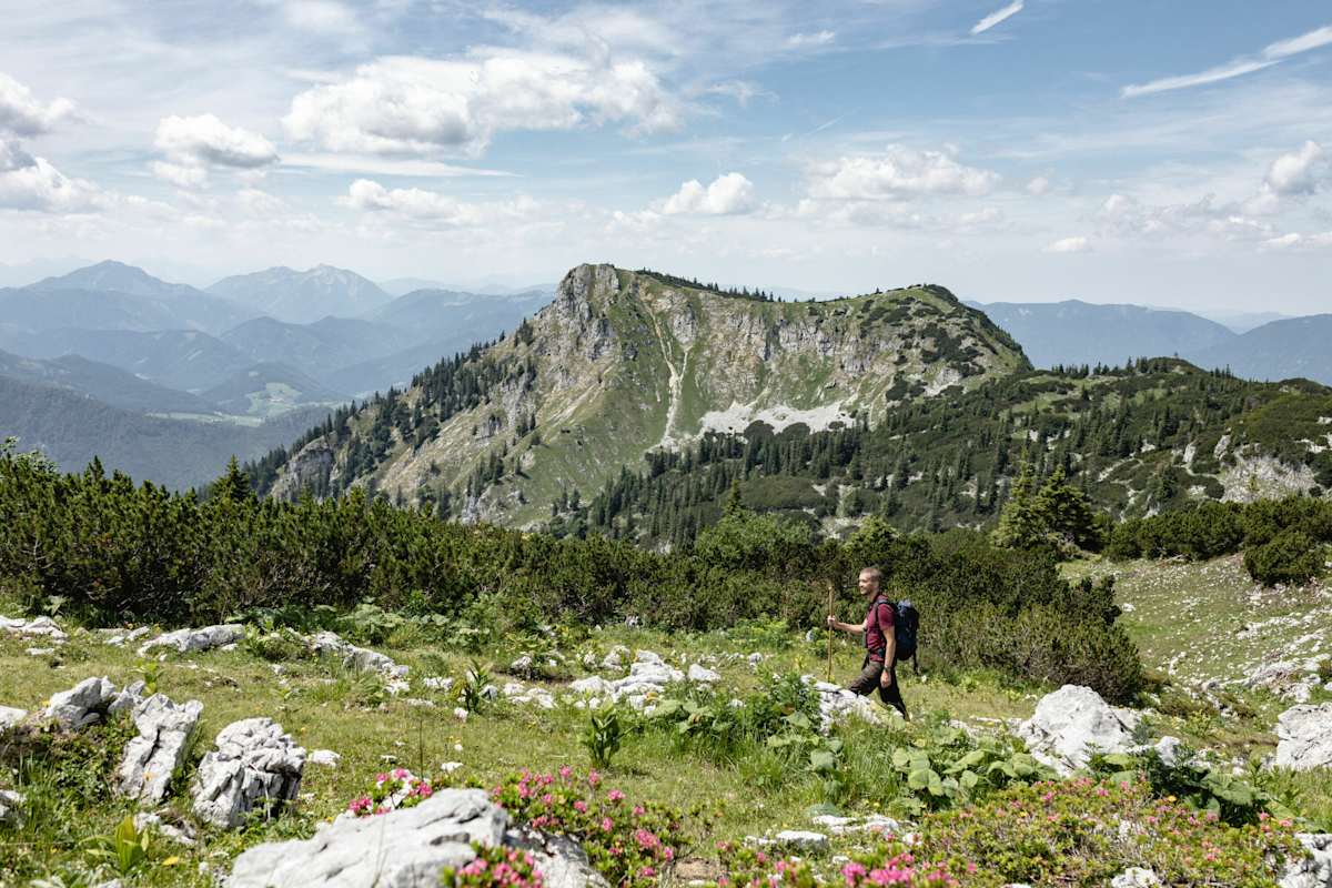 Luchs Trail Nationalpark Kalkalpen