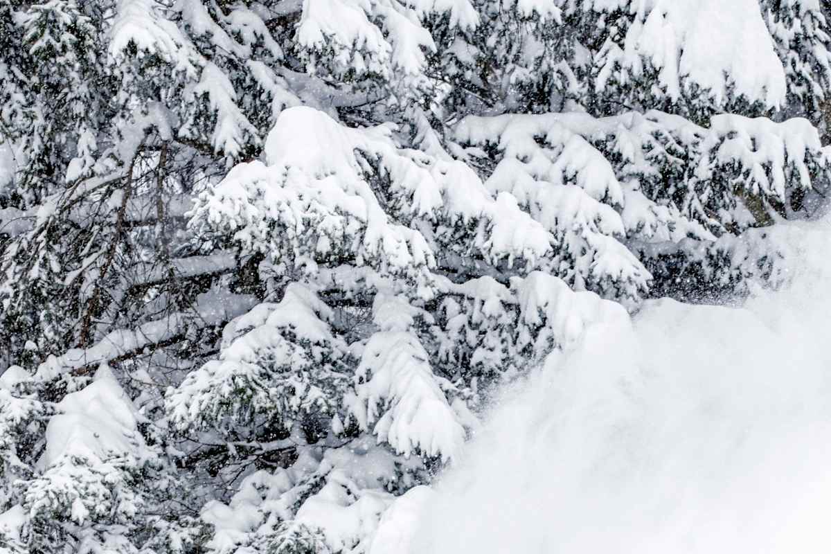 Ein Freerider bedeckt von Schnee.