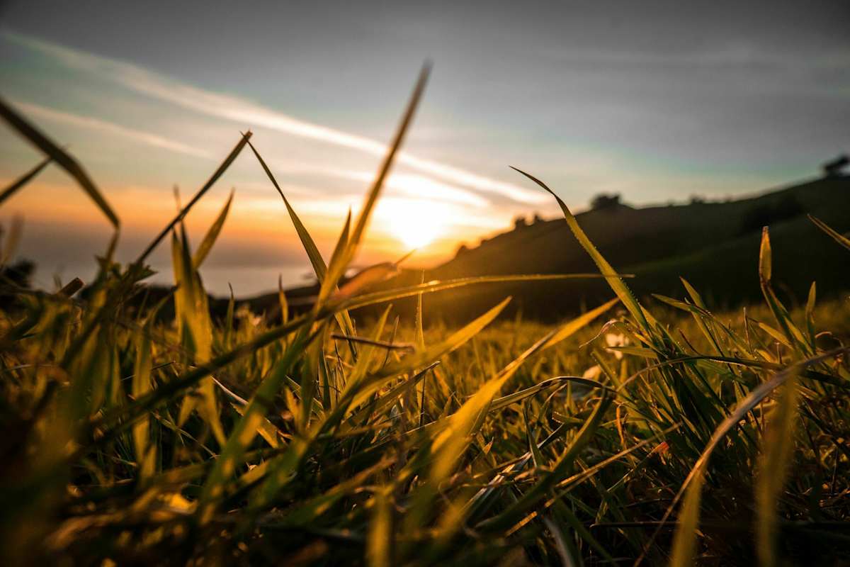 Wann kommt der Frühling?