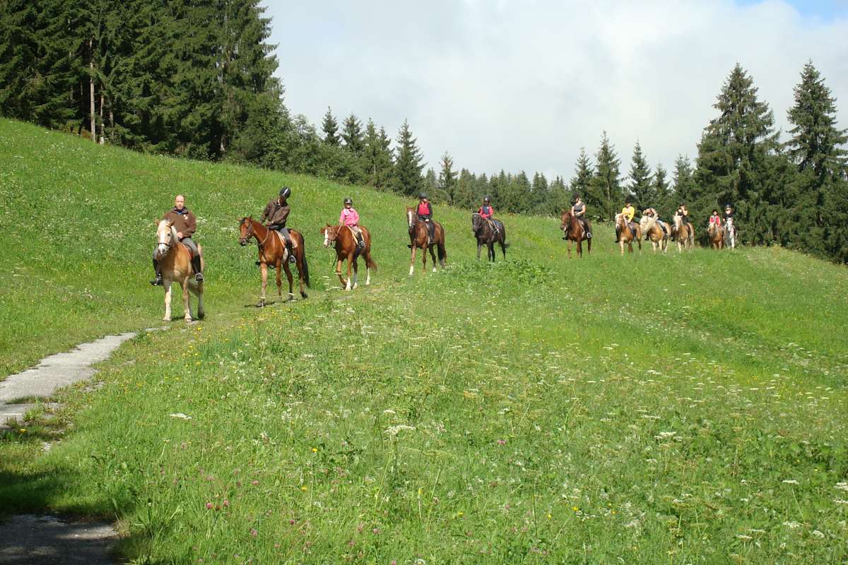 Eine Gruppe von Personen reitet auf Pferden über eine Wiese, Wald im Hintergrund.