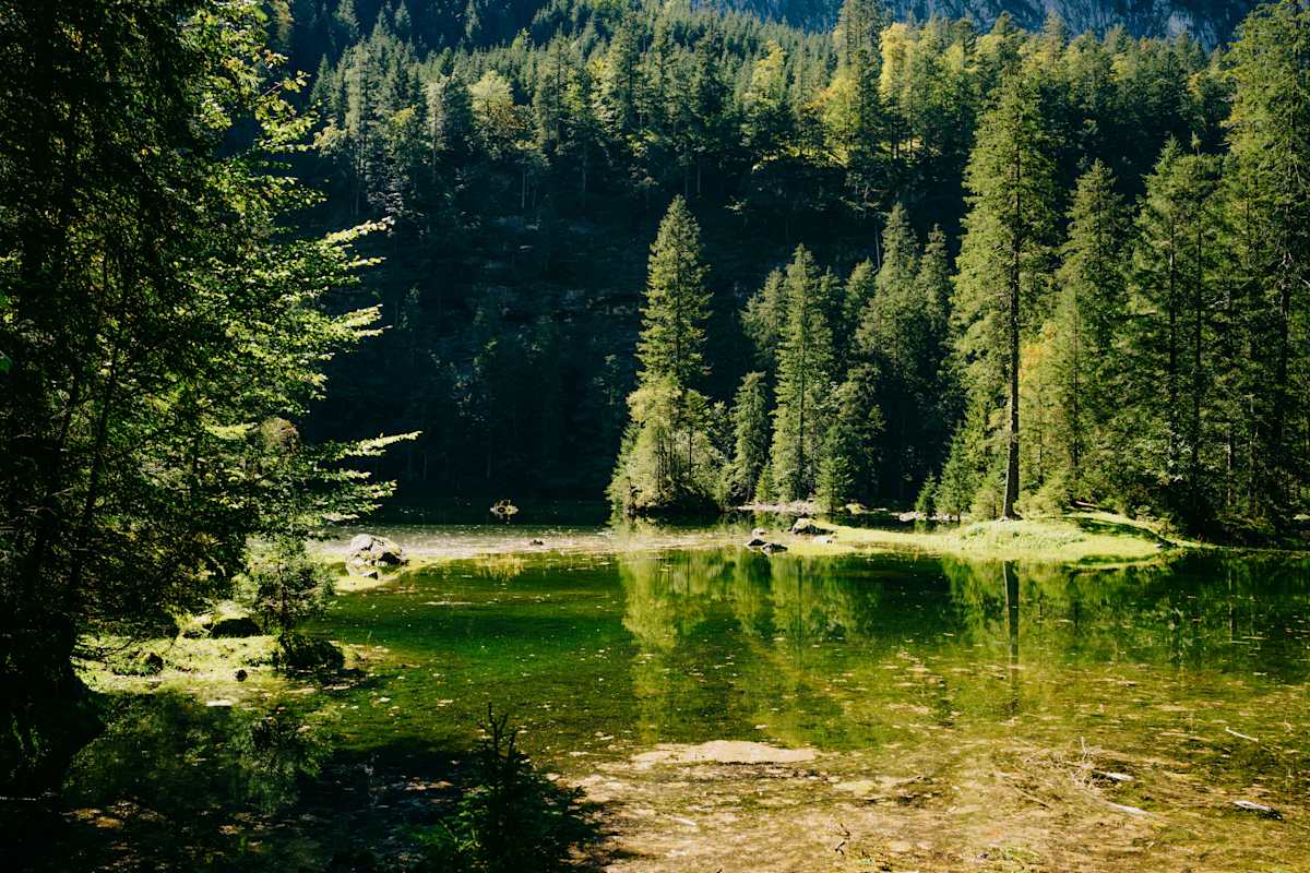 Idyllischer kleiner Hinterer Gosausee umgeben von Bergmischwald