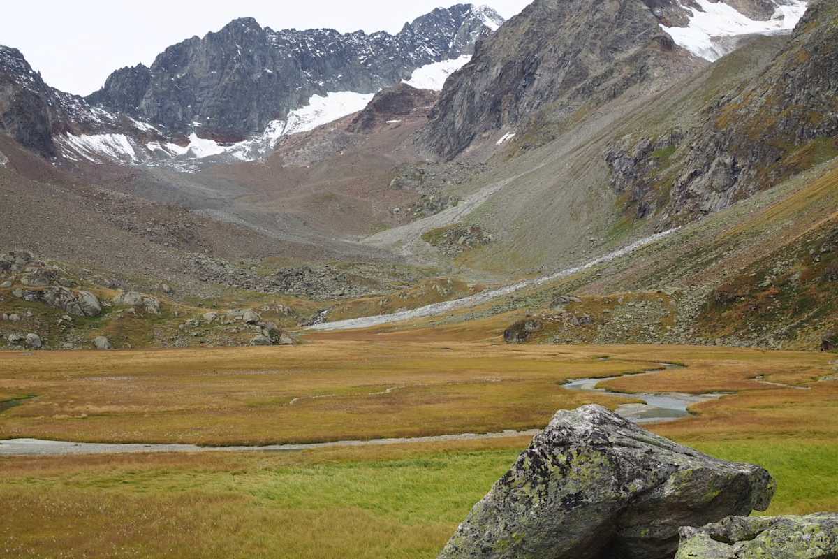Das unter Naturschutz stehenden Hochmoor Hohes Moos hinter der Hütte.