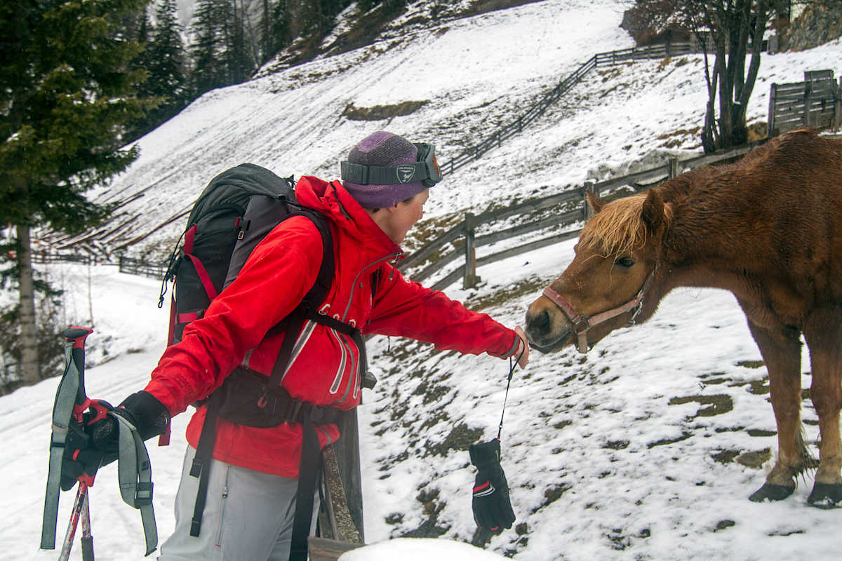 Eva und ein Pferd.