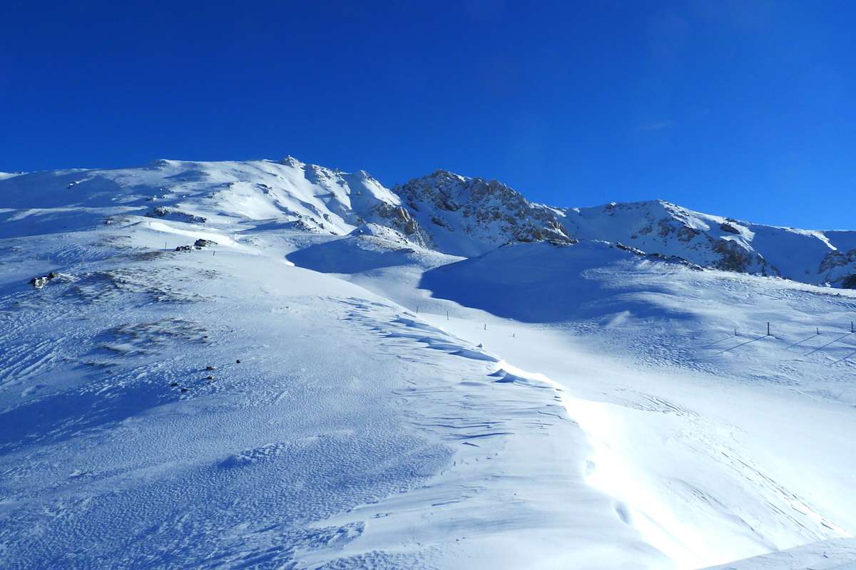Hinter Graten und Kuppen verbergen sich gerne Schneehühner, die sich einschneien lassen und auf ihr weißes Federkleid vertrauen.