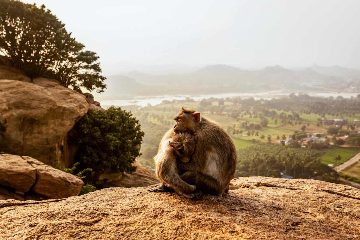 indien-hampi1-neu