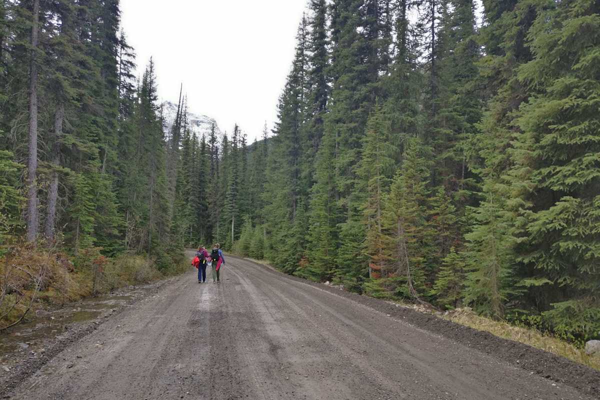 Lake O'Hara