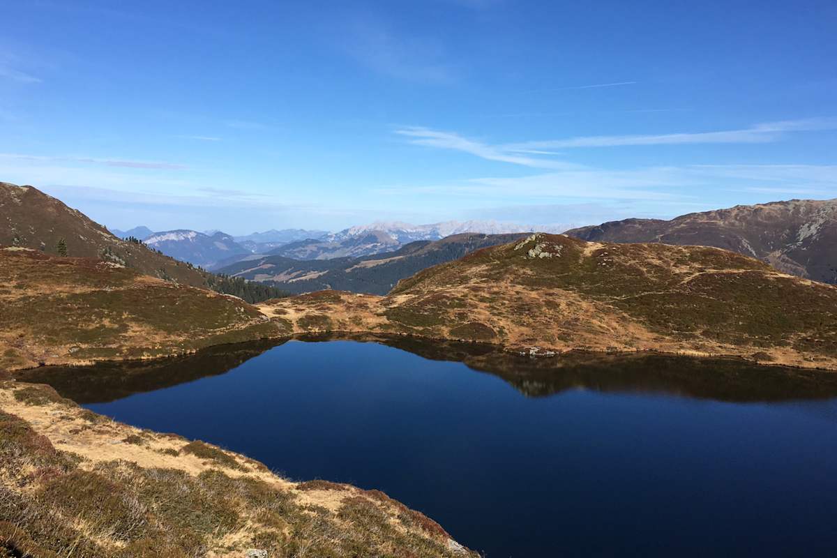 obere Wildalmsee