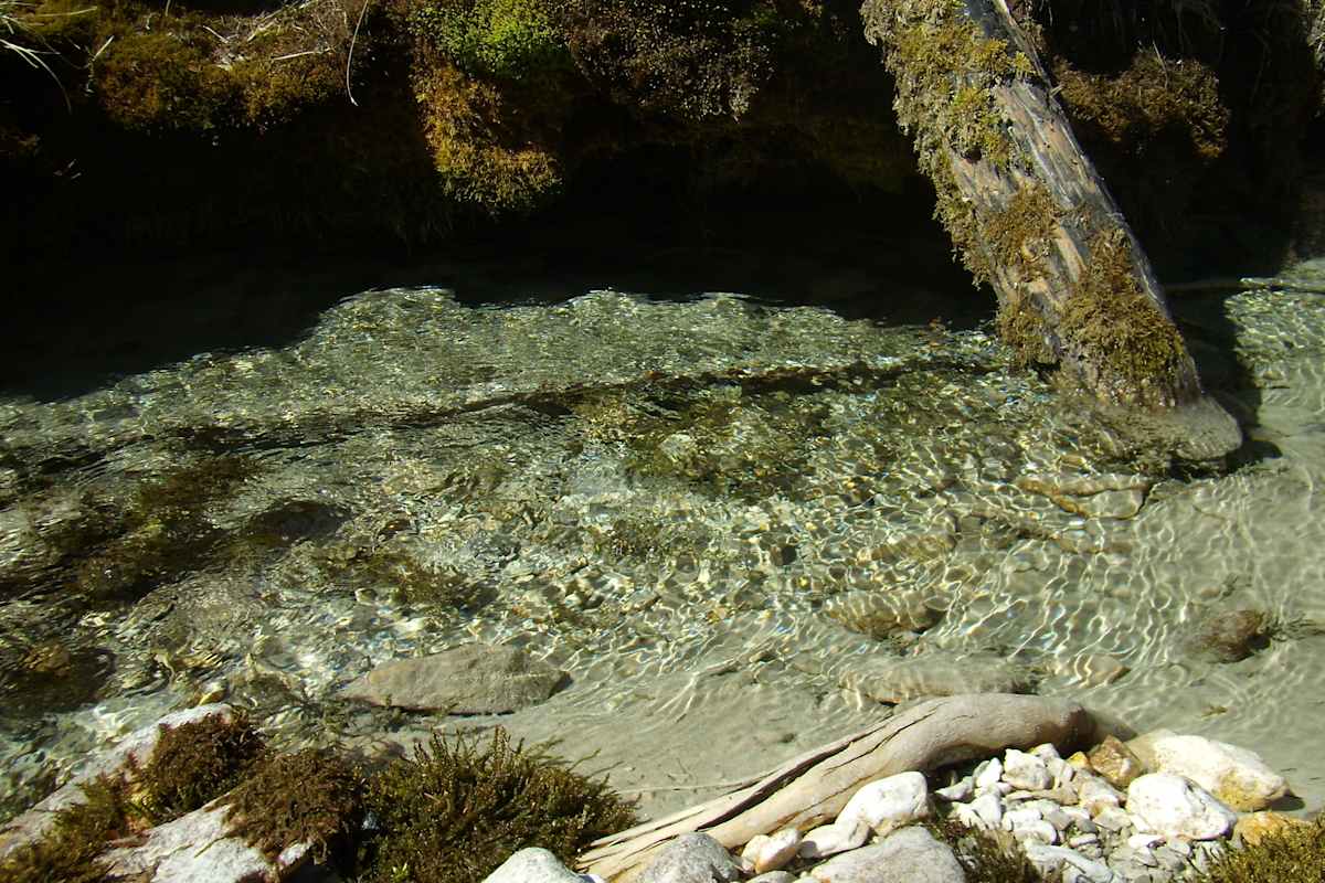 Die Isar entspringt als glasklare Quelle im Hinterautal im Naturpark Karwendel.