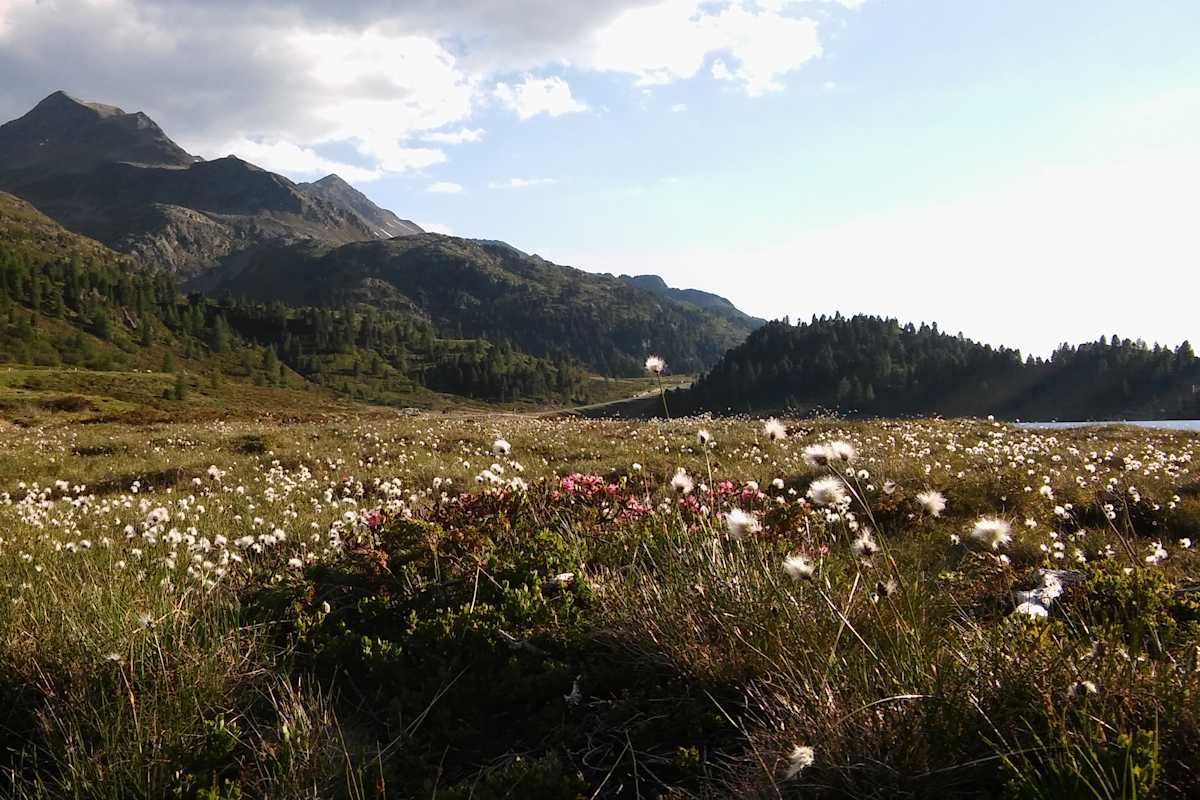 Der Stallersattel auf 2.000 Metern Seehöhe markierte den Übergang vom Defereggental ins Antholzer Tal.