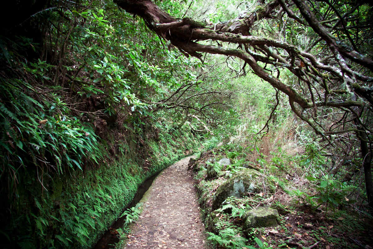 Caldeirao Verde