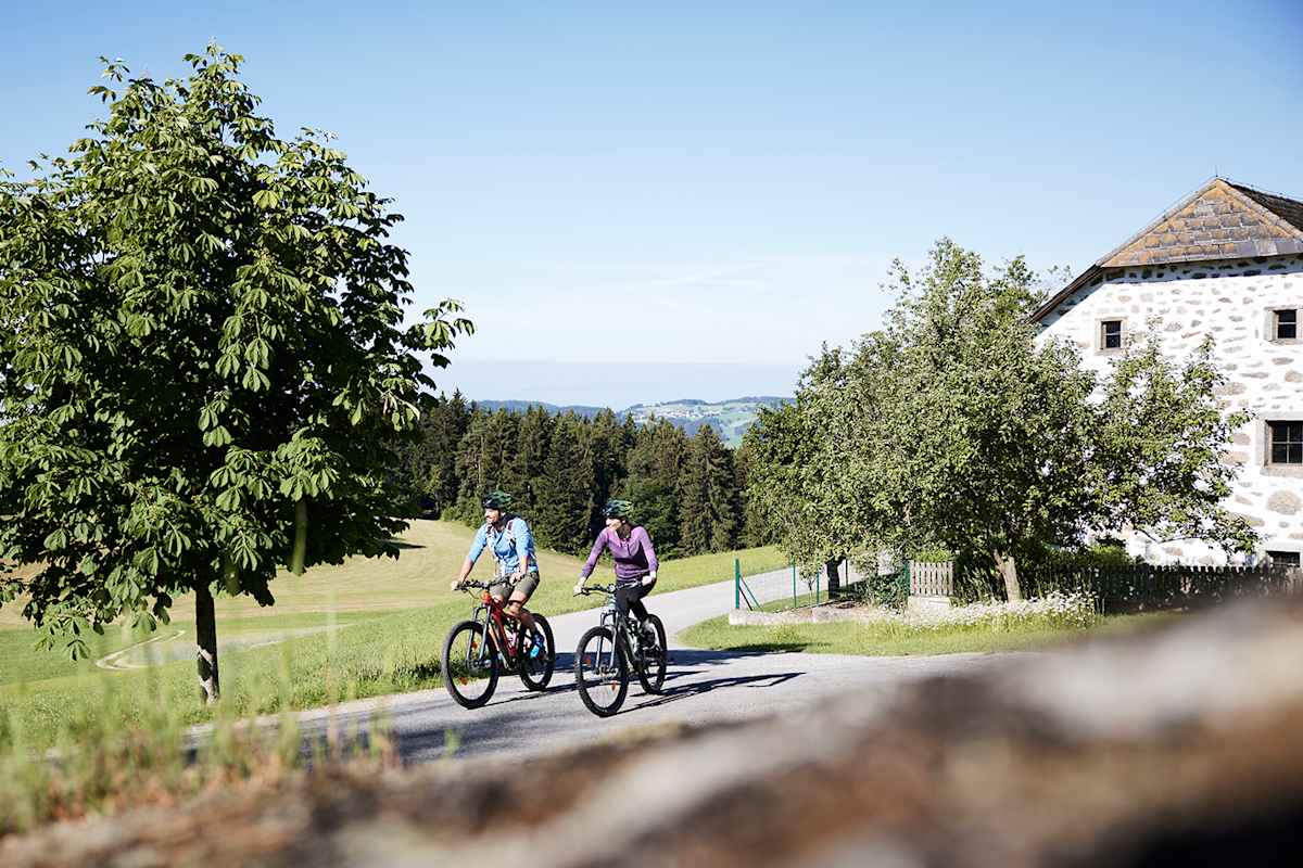 Zwei Radfahrer auf einer Panoramatour im Mühlviertel, umgeben von Wiesen, Wäldern und typischen Granitbauten.