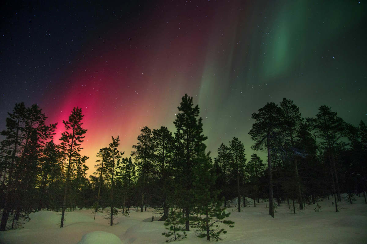 Nordlichter