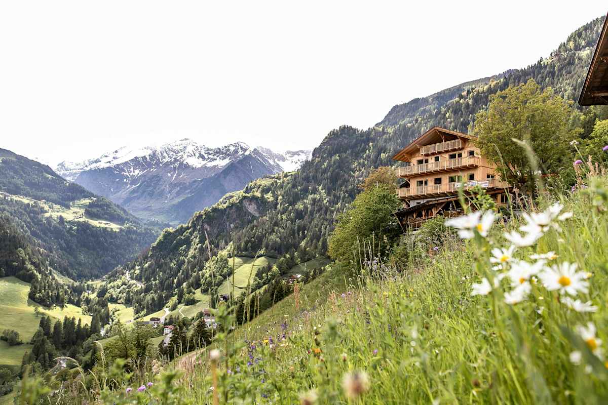 grüne Hänge mit Blumenwiesen, am Hang der Niedersteinhof und im Hintergrund verschneite Gipfel Südtirols