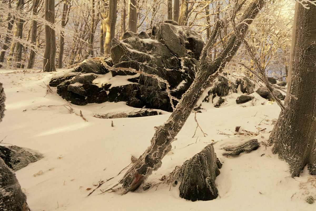 Selbst bei Schnee und Minusgraden kann in der Pfalz gebouldert werden