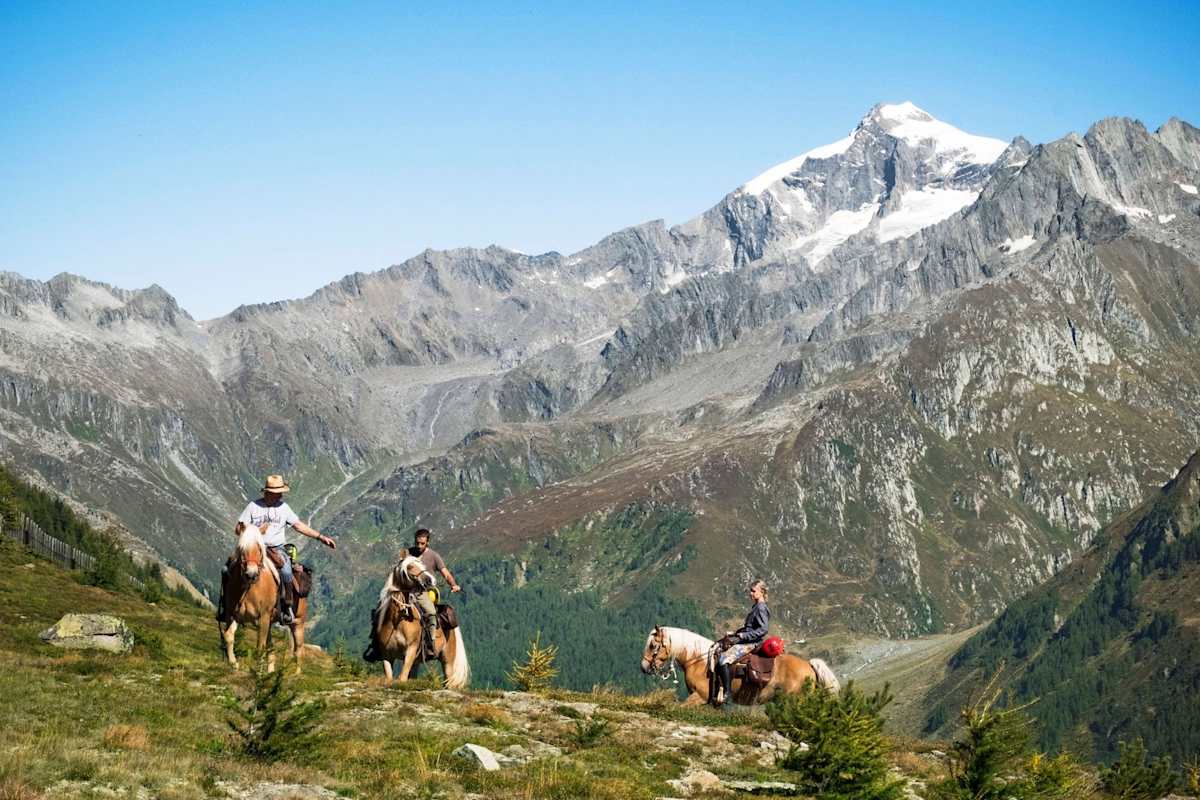 Reiten und die Venedigergruppe im Hintergrund