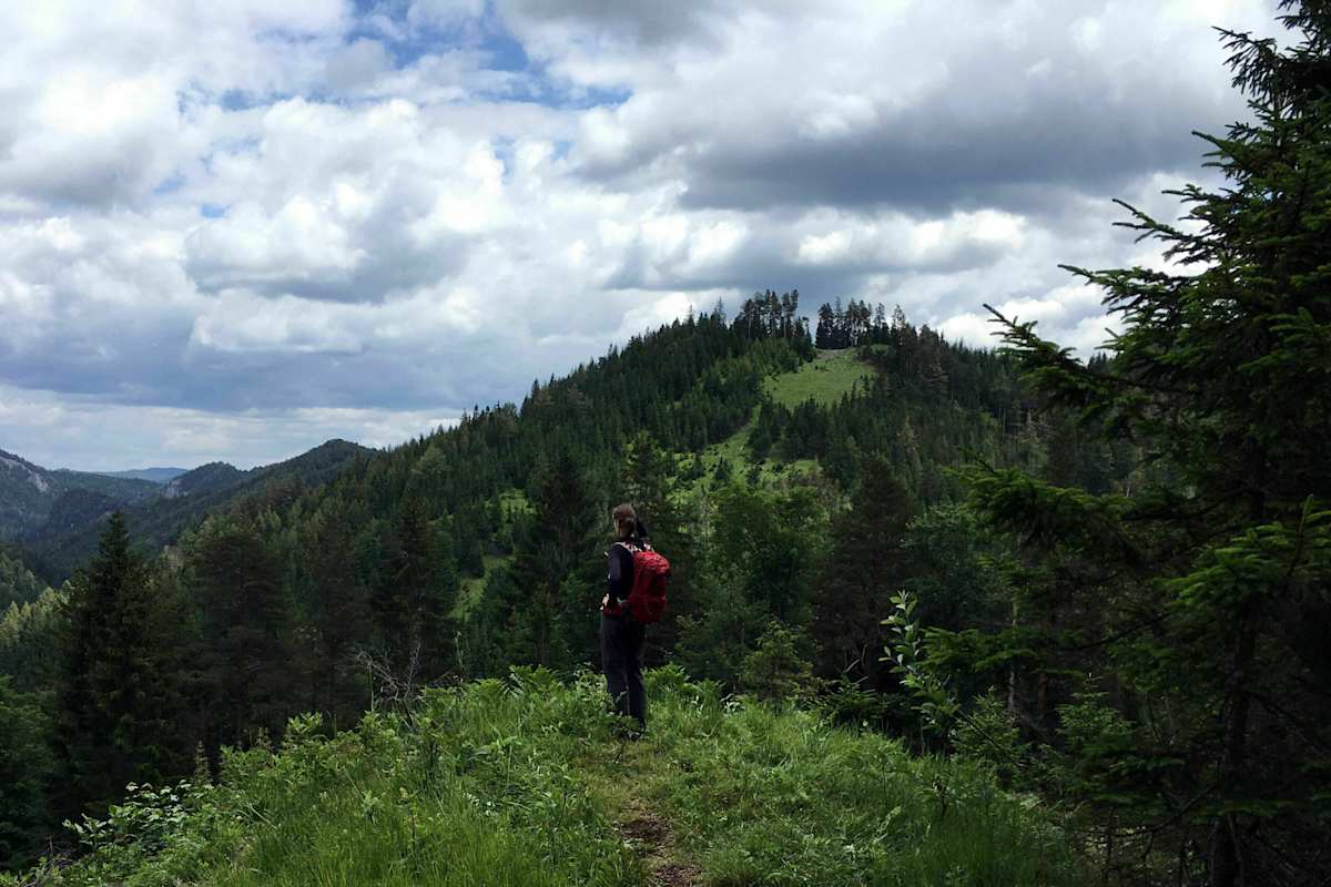 Pilgern von Wien nach Mariazell in Niederösterreich