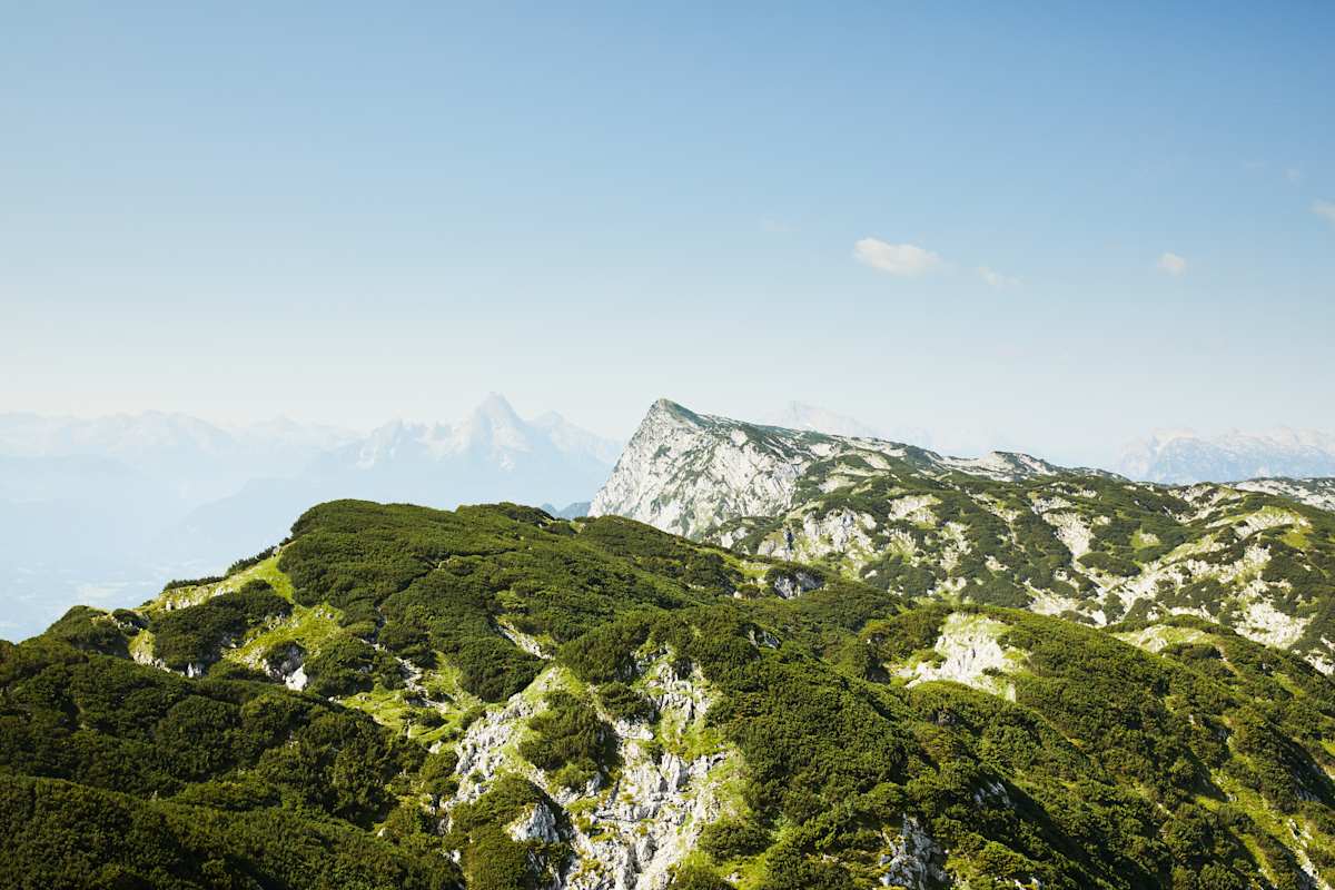 Das flache Untersberg-Plateau mit seinem Latschenbewuchs wird oft unterschätzt. Es gibt zahllose Bodenspalten.