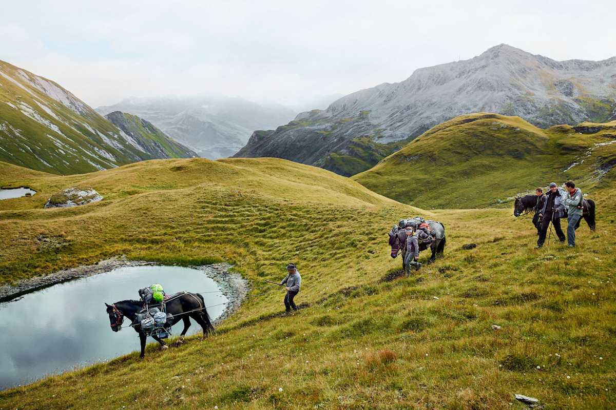 Bergsteigen wie damals: Mit Packpferden geht es über die Glatzböden von der Glorer Hütte in Richtung Salmhütte.