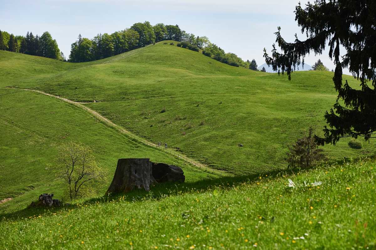 Rachl-Alm in Bayern