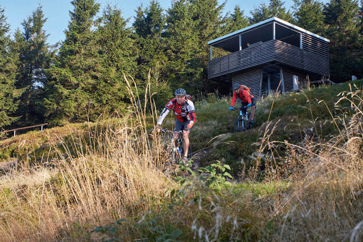 Rennsteig im Thüringer Wald