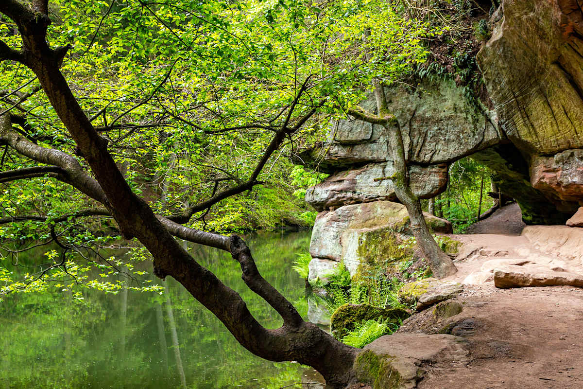 Gustav Adolf Höhle Schwarzachklamm